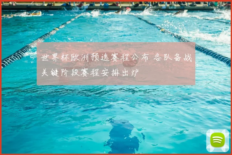 世界杯欧洲预选赛程公布 各队备战关键阶段赛程安排出炉